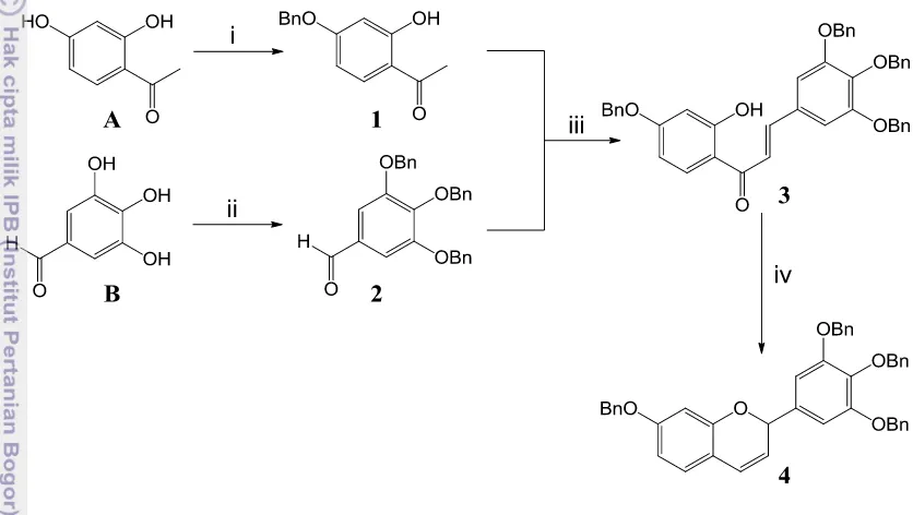 Gambar 3  Skema reaksi sintesis flav-3-ena (4) dari 2’,4’-dihidroksiasetofenon 