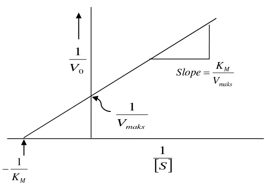 Gambar 9. Diagram Lineweaver-Burk ( Suhartono, 1999). 