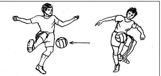 Gambar 2. Teknik Menghentikan Bola dengan Kaki Bagian Dalam dan Paha (Remmy Muchtar, 1992: 33) 