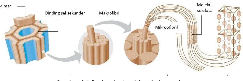 Gambar 2.2 Monomer D-Glukopiranosa pada Selulosa 