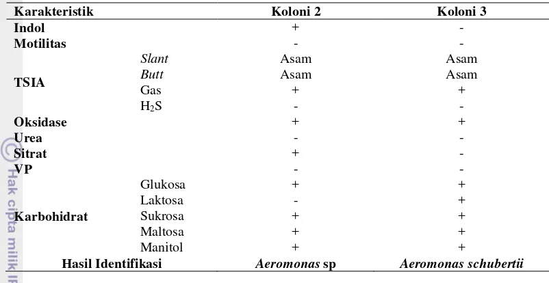 Tabel 4  Hasil uji Indol, TSIA, Oksidase, Urea, dan Sitrat bakteri gram negatif 