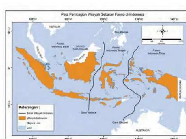 Gambar 1.17 Pembagian wilayah sebaran fauna di Indonesia.