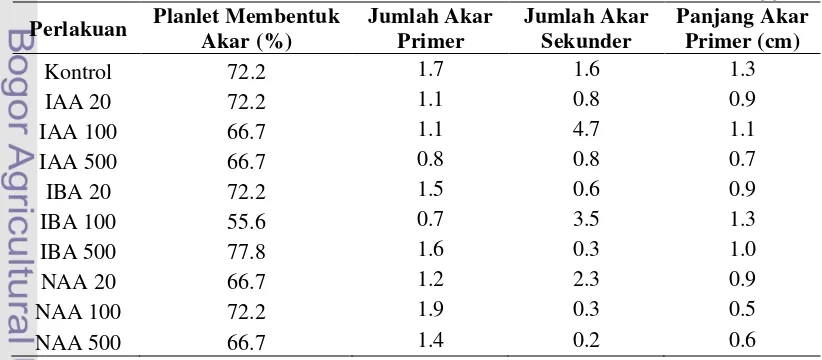 Tabel 3 Pengaruh interaksi jenis dan konsentrasi auksin terhadap pertumbuhan akar planlet Cordyline fruticosa secara ex vitro pada umur enam minggu 