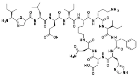 Gambar 3.  Struktur Kimia Basitrasin 