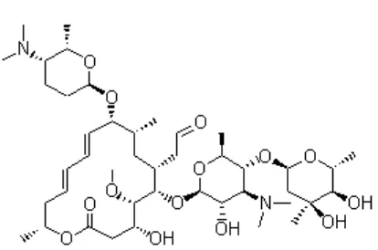 Gambar 4.  Struktur kimia Spiramisin  