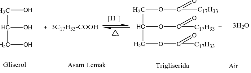 Gambar 2.2. Reaksi Umum Pembentukan Trigliserida 