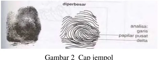 Gambar 2  Cap jempol 