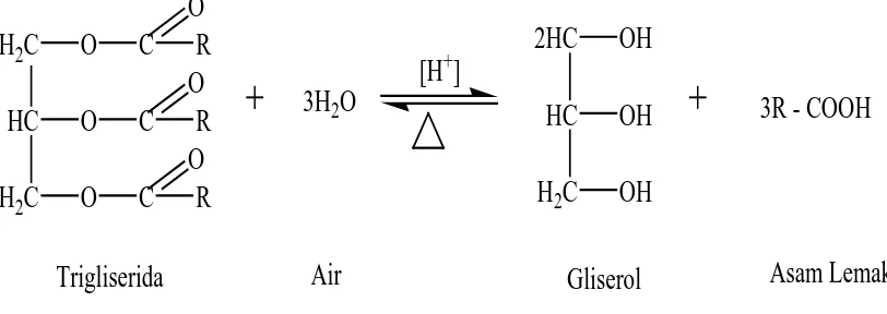Gambar 2.3. Reaksi Umum Pembentukan Gliserol (Ketaren, 1986) 
