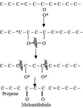 Gambar 3. Reaksi pembentukan malonaldehida 