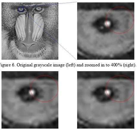 Figure 6. Original grayscale image (left) and zoomed in to 400% (right). 