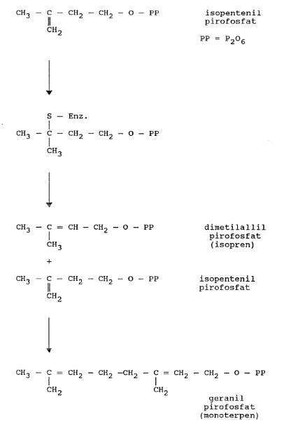 Gambar 7. Pembentukan terpen dari isopentenil piro- 