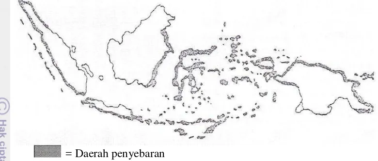 Gambar 1  Distribusi ikan sidat di Indonesia 