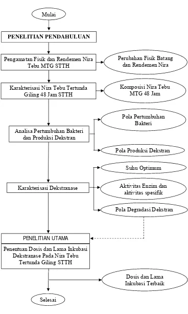 Gambar 8.   Diagram Alir Penelitian 