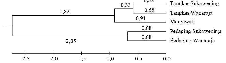 Tabel 4.  Matrik jarak genetik antar kelompok domba Garut