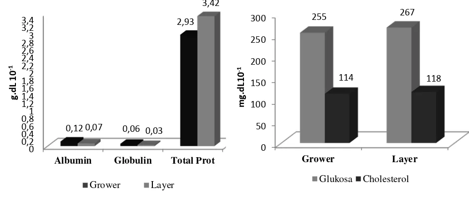 Gambar 1. Profil Rata-rata Konsentari Parameter Biokimia Darah Ayam Ras Petelur Fase Grower Dan Layer sebagai Indikator Respon Cekaman Temperatur Lingkungan  