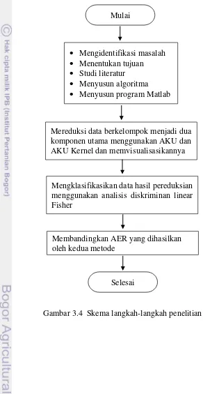 Gambar 3.4  Skema langkah-langkah penelitian 