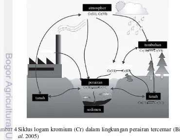 Gambar 4 Siklus logam kromium (Cr) dalam lingkungan perairan tercemar (Bielicka et 