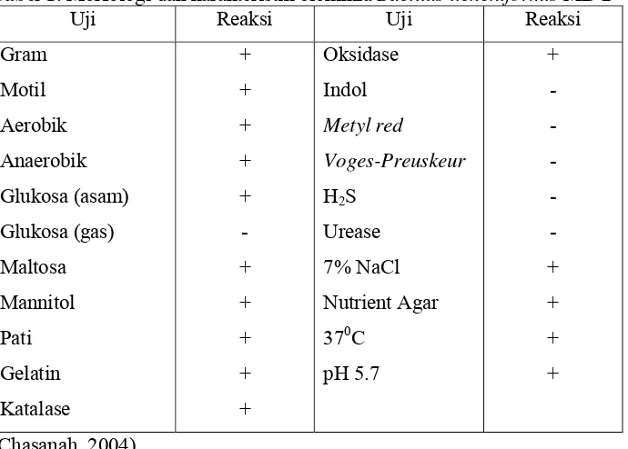 Tabel 1. Morfologi dan karakteristik biokimia Bacillus licheniformis MB-2 