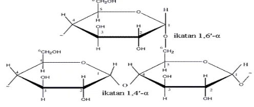 Gambar 3. Struktur ikatan amilopektin 
