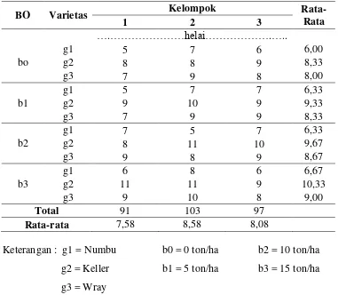 Tabel 31. Analisis ragam daun tanaman sorgum pada umur 10 mst. 