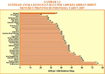 GAMBAR 3.2 ESTIMASI ANGKA KEMATIAN BAYI PER 1.000 KELAHIRAN HIDUP 