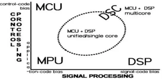 Figure 1 Processor Type Variations