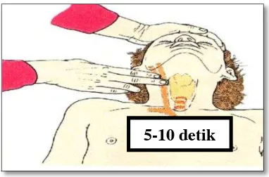 Gambar 2.7. Mouth-to-mask ventilation (ERC, 2010) 