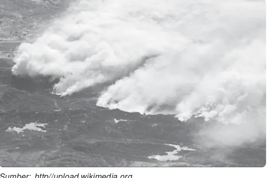 Gambar 4.12 Kebakaran hutan di Pulau Kalimantanmengakibatkan kabut asap.