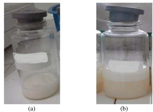 Gambar 8  Hasil percobaa formulasi OSD: (a) contoh sampel pencampuran surfaktan DEA dan MES, (b) contoh sampel yang terpisah setelah pengukuran stabilitas emulsi