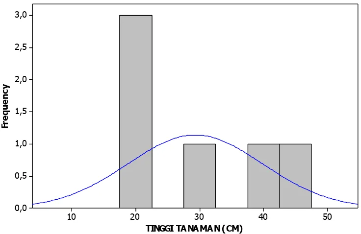 Gambar 3. Grafik sebaran tinggi tanaman A X N3.  