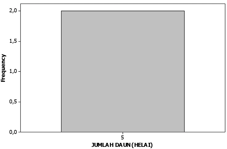 Gambar 9. Grafik sebaran jumlah daun A X N4. 