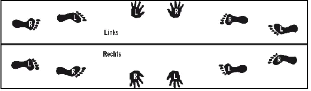 Gambar 2. Jalur Kontaknya Kaki dan Tangan Dengan Lantai (Sumber: Agus Mahendra. 2000: 57) 