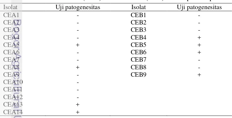 Tabel 3  Hasil uji patogenesitas isolat cendawan endofit akar tanaman pala berumur 10 tahun (CEA) dan >50 tahun (CEB) terhadap benih padi 