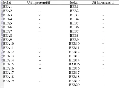 Tabel 4  Hasil uji hipersensitif isolat bakteri endofit akar tanaman pala berumur 10 tahun (BEA) dan >50 tahun (BEB) terhadap tanaman tembakau 