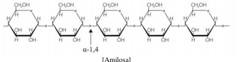 Gambar 3. Struktur amilosaSumber: Suriadi, 1985