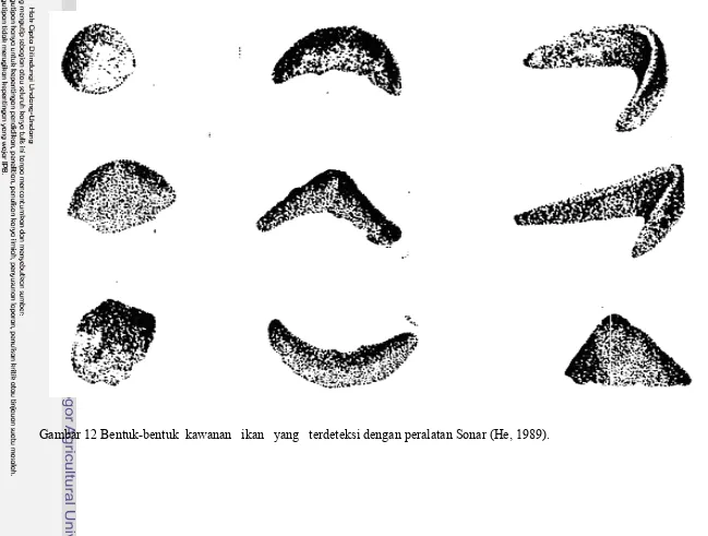 Gambar 12 Bentuk-bentuk  kawanan   ikan   yang   terdeteksi dengan peralatan Sonar (He, 1989)