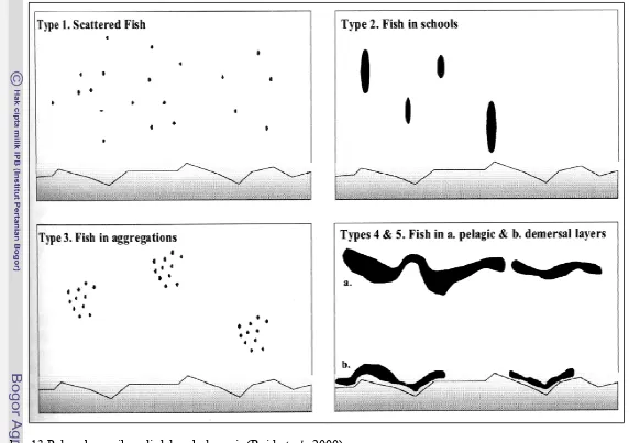 Gambar 13 Pola sebaran ikan di dalam kolom air (Reid et al., 2000). 