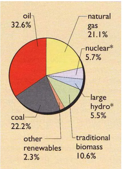 Gambar 1.1. Prosentase kontribusi berbagai sumber energi terhadap konsumsi energi primer dunia pada tahun 2002