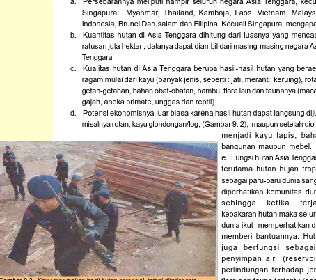 Gambar 9.2.banyak dilakukan penebangan secara illegal, seperti yang ditemukan Polri . Kayu merupakan hasil hutan potensial, tetapi diIndonesiadi  Ketapan Kalimantan Barat (Sumber: Jawa Pos, 4 April 2008)