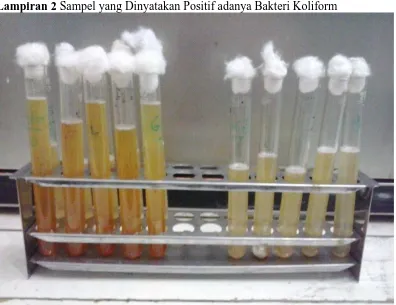 Gambar 3 : Sampel yang telah dinyatakan positif adanya bakteri (Terbentuk gas)  