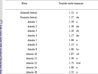 Tabel 7.  Jumlah umbi per tanaman dari klon-klon kentang hasil persilangan cv. Atlantik dan cv