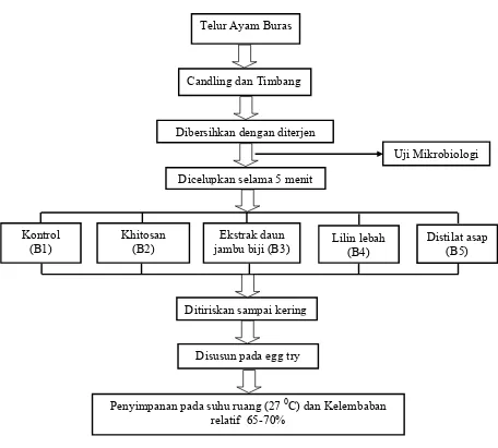 Gambar 6. Diagram alir prosedur penelitian tahap I 