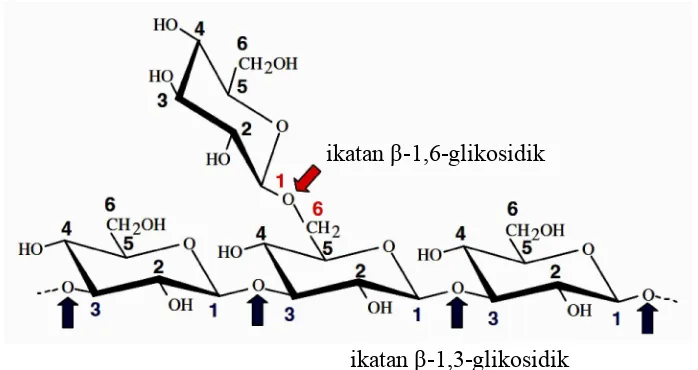 Gambar 3 Struktur β-glukan yang terdiri atas ikatan β-1,3 dan 1,6 -glikosidik (Martin et al