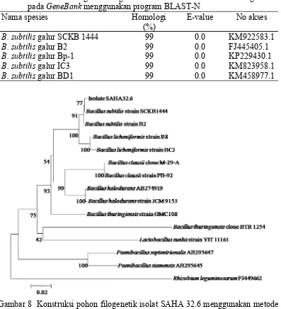 Tabel 4 Analisis homologi sekuen gen 16S rRNA isolat SAHA 32.6 dengan datapada GeneBank menggunakan program BLAST-N