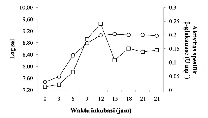 Gambar 9 Pertumbuhan sel (−○−) dan produksi β-glukanase (−□−) isolat SAHA32.6 pada media produksi 1% glukan cair