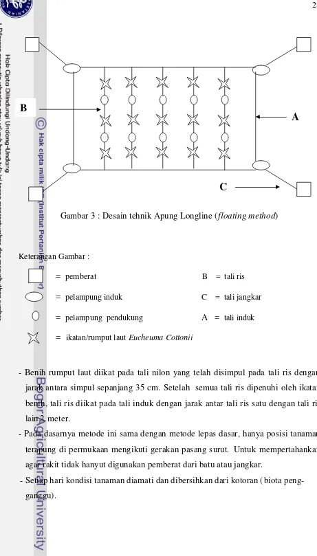 Gambar 3 : Desain tehnik Apung Longline (floating method) 