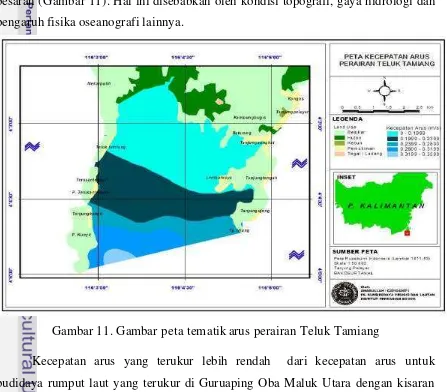 Gambar 11. Gambar peta tematik arus perairan Teluk Tamiang 