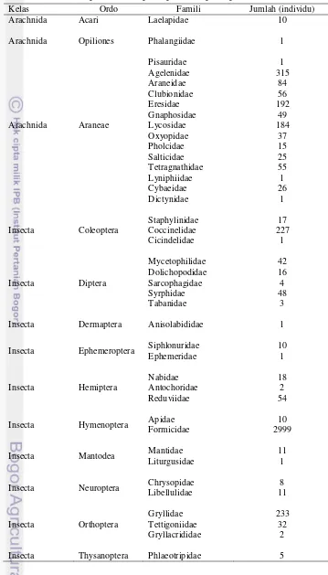 Tabel 2  Kelimpahan Artropoda predator pada pertanaman durian 