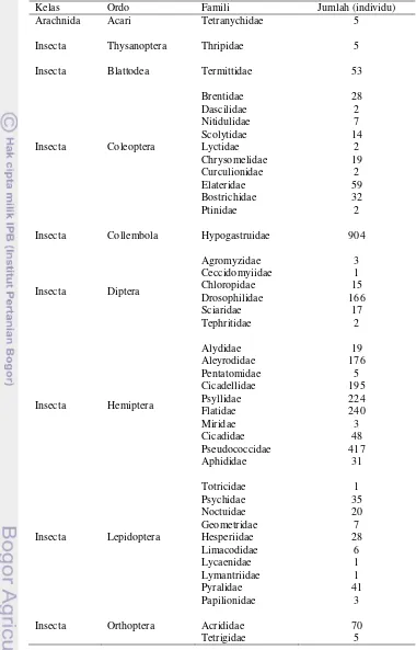 Tabel 3  Kelimpahan Artropoda herbivor pada pertanaman durian 