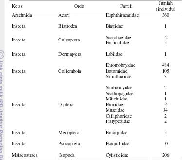 Tabel 4 Kelimpahan Artropoda detrivor pada pertanaman durian 